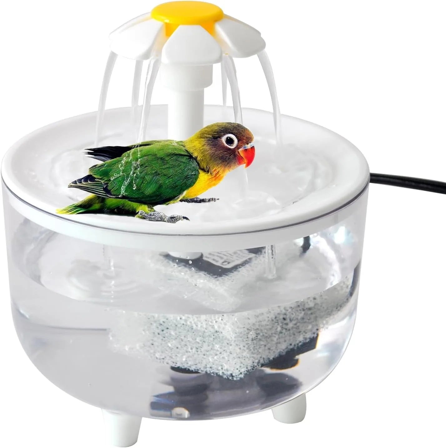 Indoor Bird Bath Fountain Automatic Shower