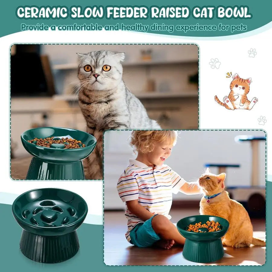 Two ceramic raised cat slow feeder bowls by mypawbloom with elevated design for easy eating and digestion.