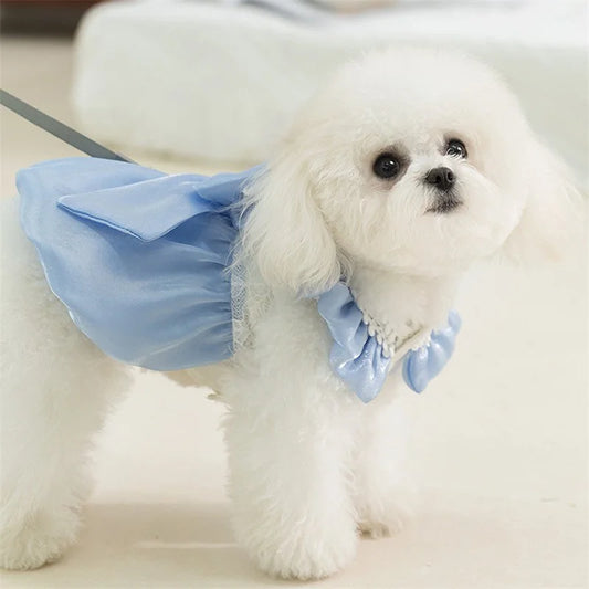 Cute small dog tutu dress with lace and bowknot, by mypawbloom, featuring a delicate ruffled skirt and stylish design.
