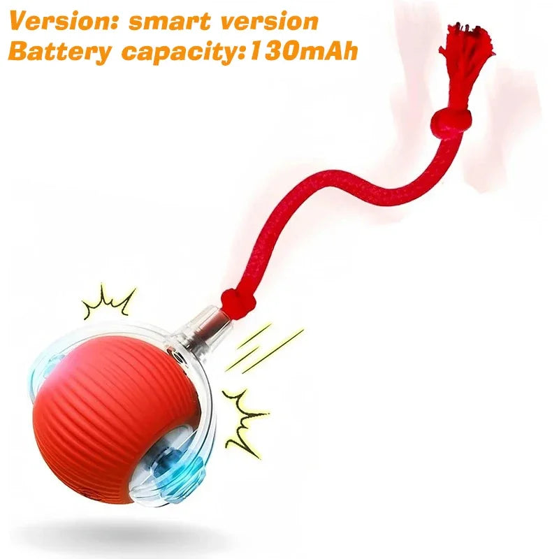 Dog Interactive Ball Toy,Automatic Rolling