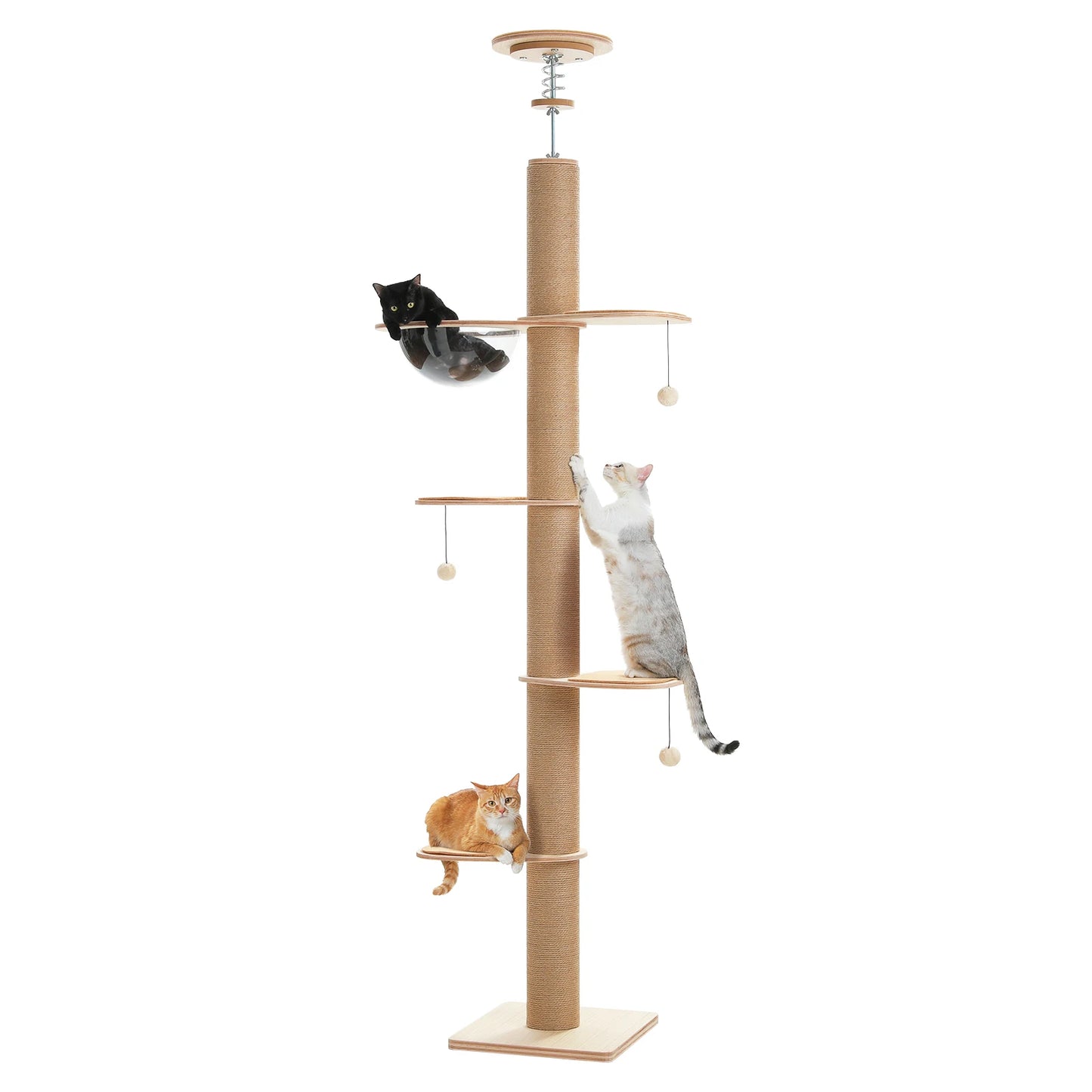 Indoor cat tree by mypawbloom, adjustable height floor to ceiling with multiple levels and cozy perches for cats.