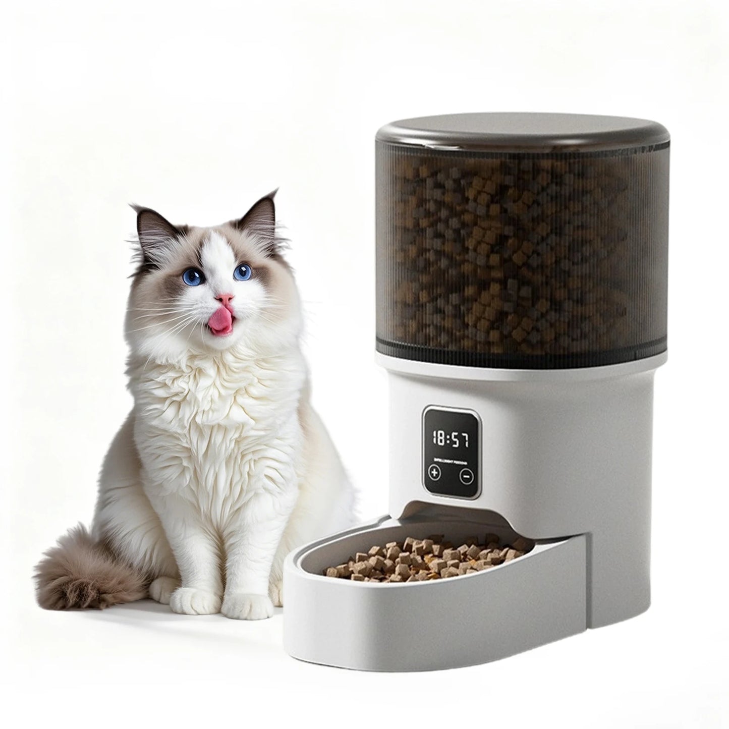 Mypawbloom programmable 4L automatic pet feeder for small dogs and cats, featuring a digital control panel and food dispensing tray.