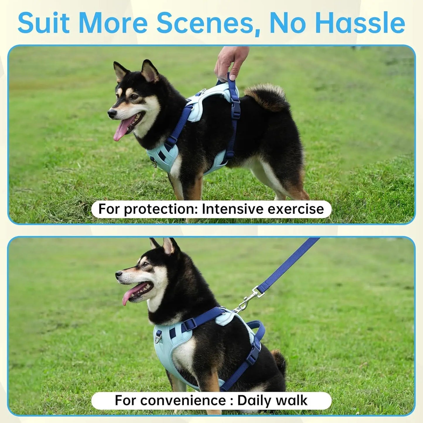 3-in-1 No-Pull Dog Harness Leash Collar Set