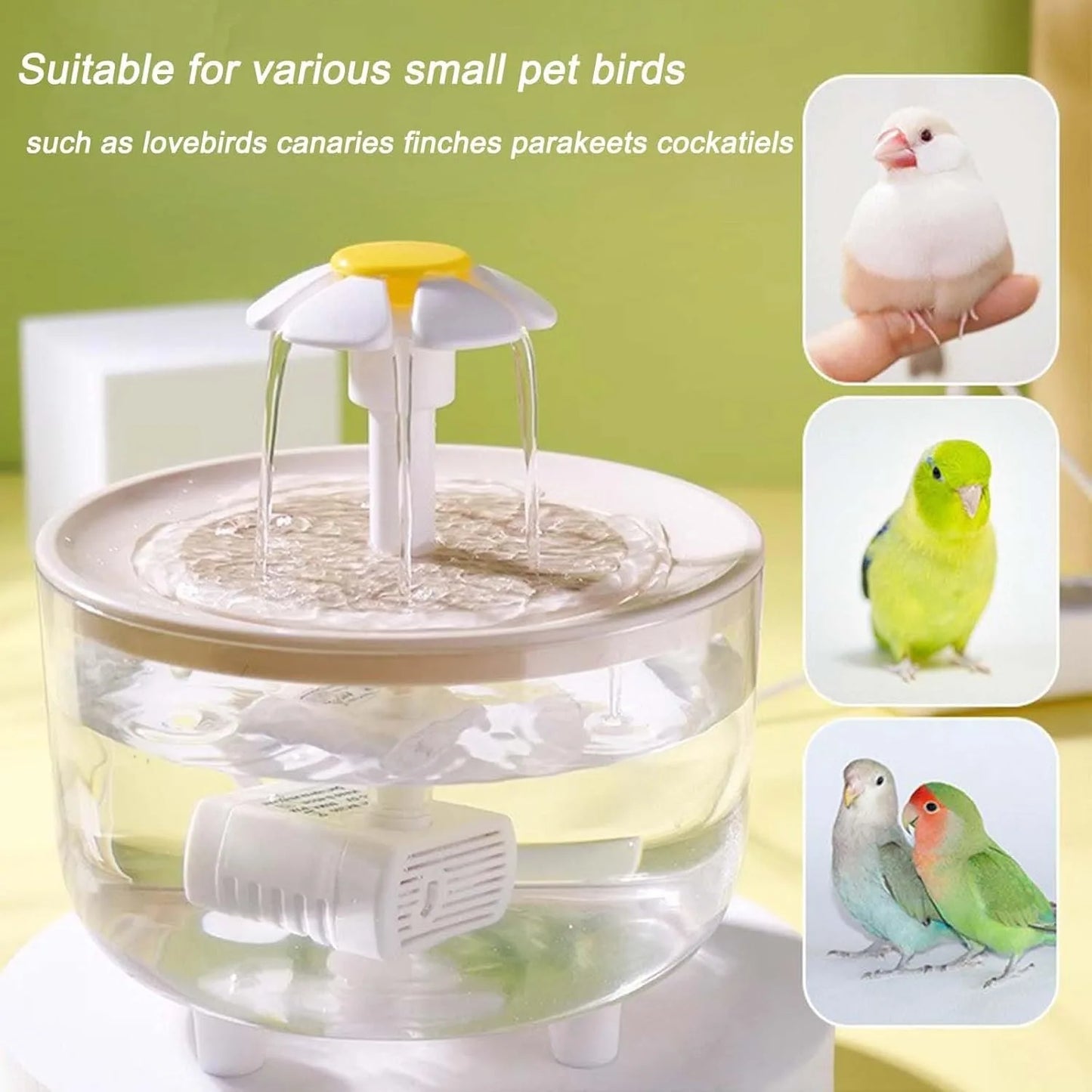 Indoor Bird Bath Fountain Automatic Shower