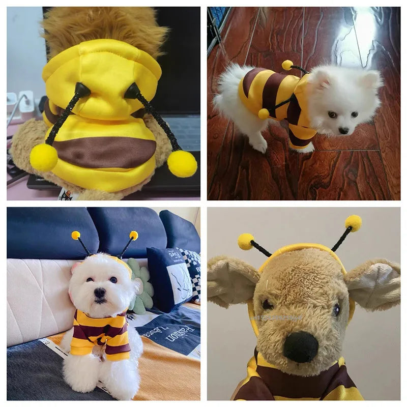 Cute Bumble Bee Dog Costume – Soft Autumn Winter Hoodie for Small Medium Dogs & Cats