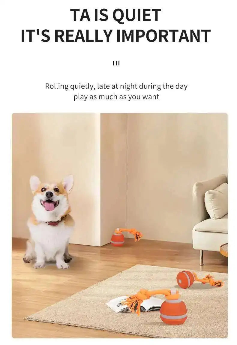 Interactive teasing ball for dogs by mypawbloom, featuring a durable design and vibrant colors for playful engagement.