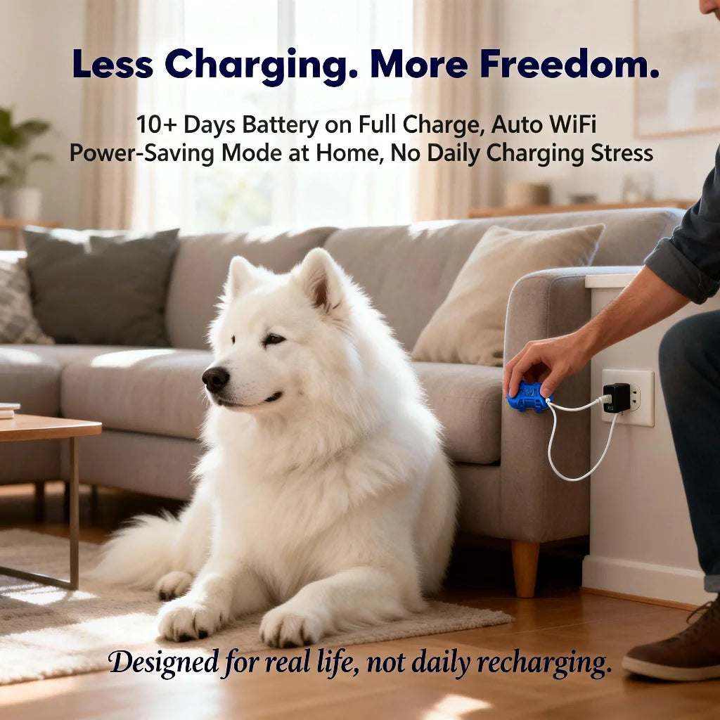 mypawbloom GPS pet tracker for dogs and cats with built-in IoT SIM and WiFi tracking technology.