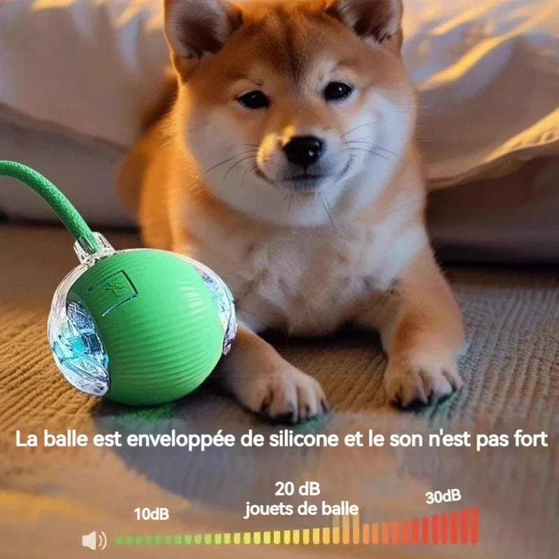 Dog Interactive Ball Toy,Automatic Rolling