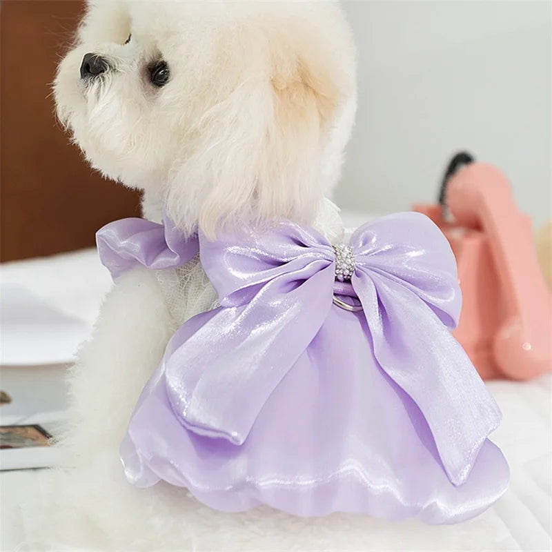 Cute small dog wearing a mypawbloom tutu dress with bowknot lace, featuring a fluffy pink skirt and delicate lace details.