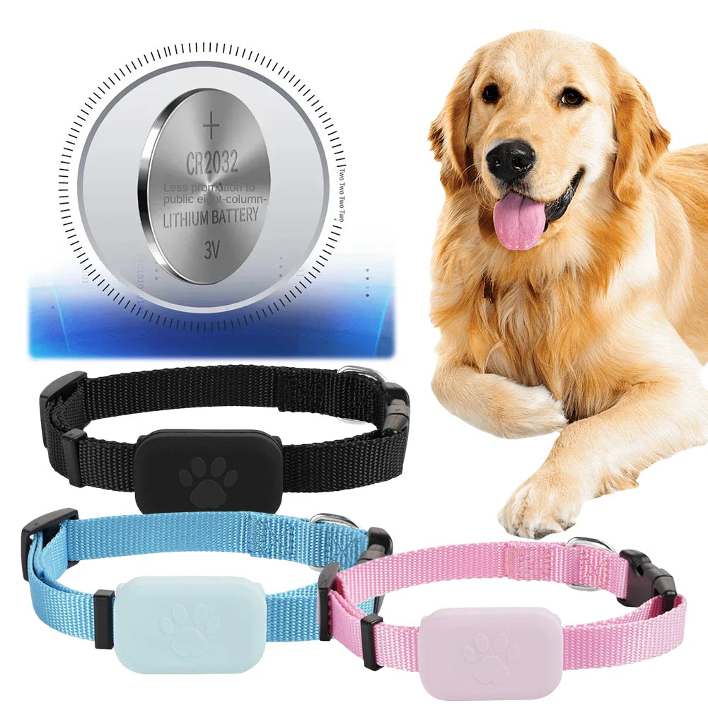 Mypawbloom Pet GPS Tracker with adjustable collar, showing device attached to a small dog’s neck in outdoor setting