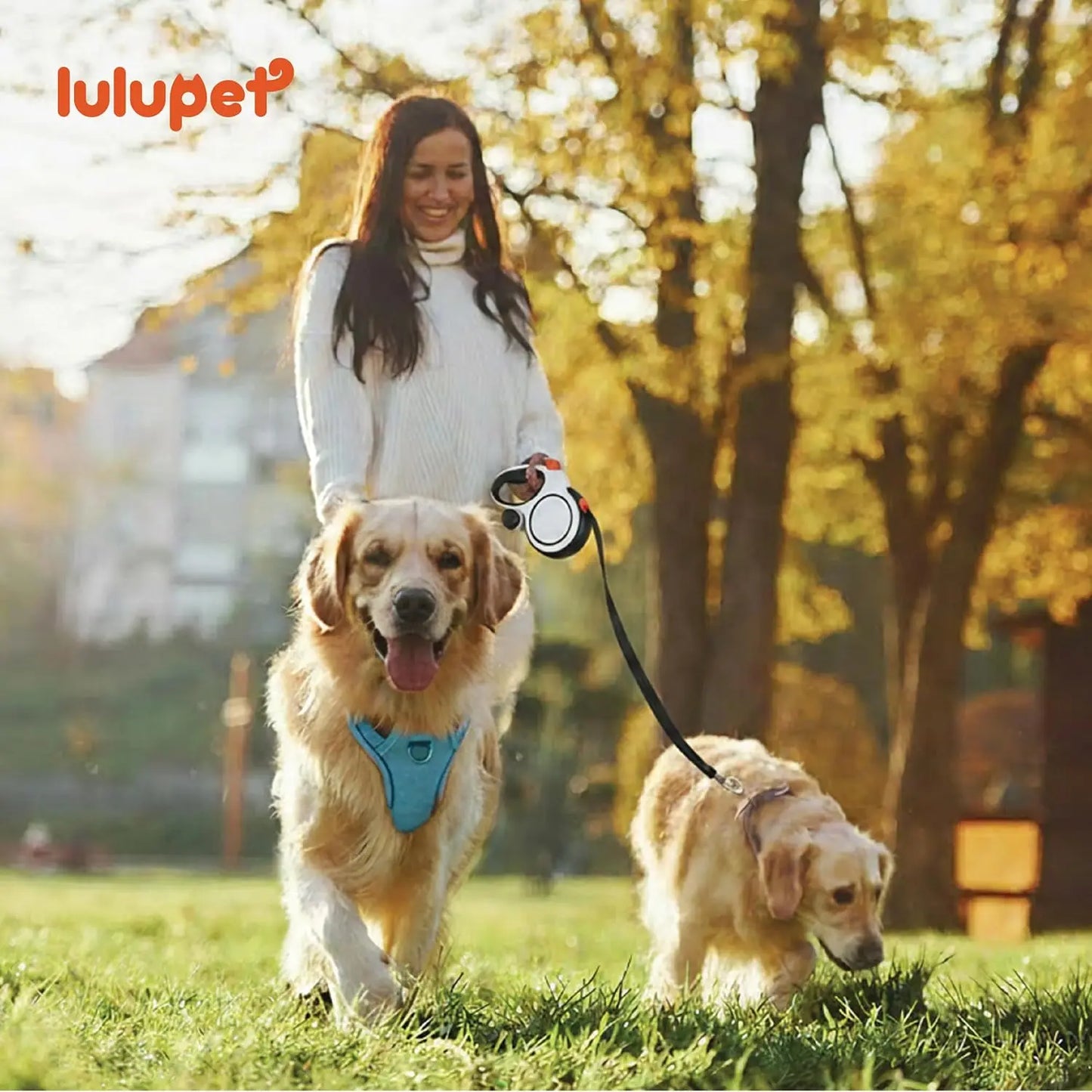 3-in-1 No-Pull Dog Harness Leash Collar Set