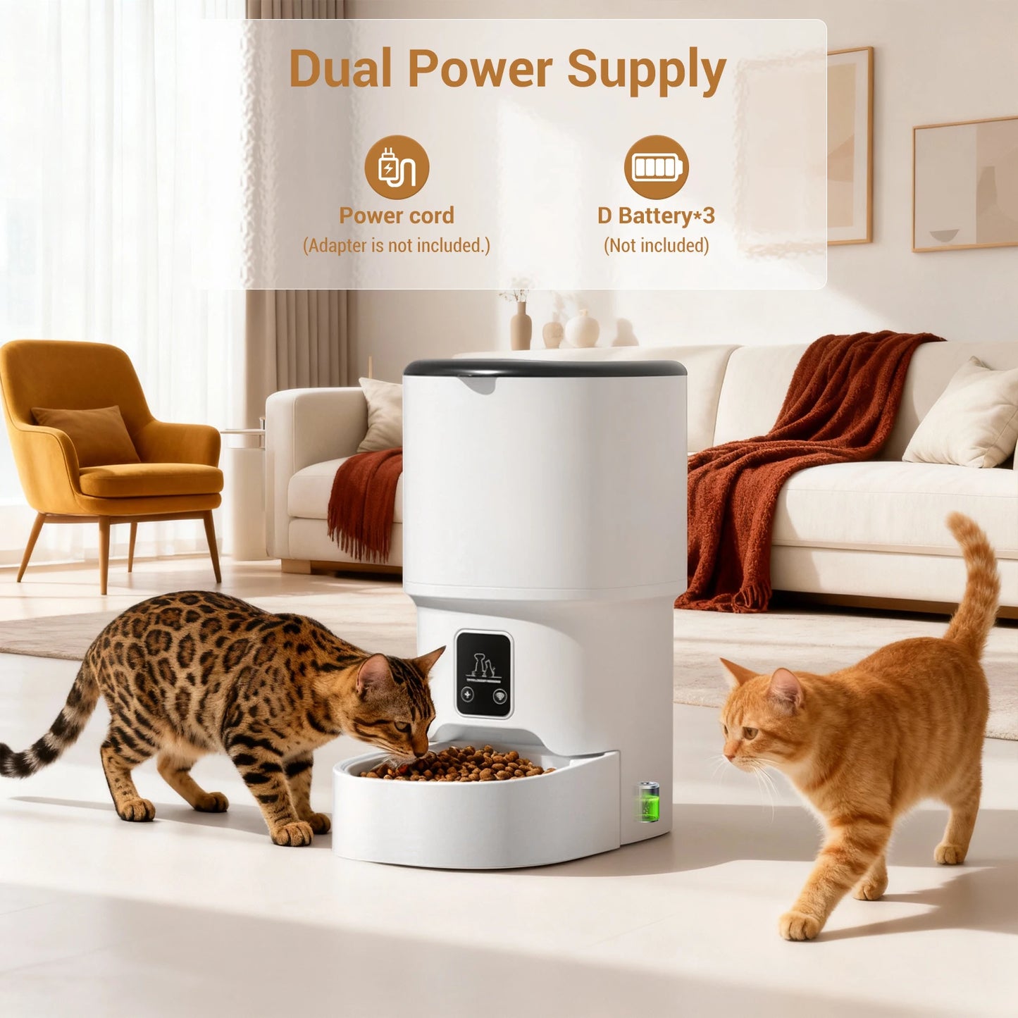 Mypawbloom programmable 4L automatic pet feeder for small dogs and cats, showing digital control panel and food storage compartment.