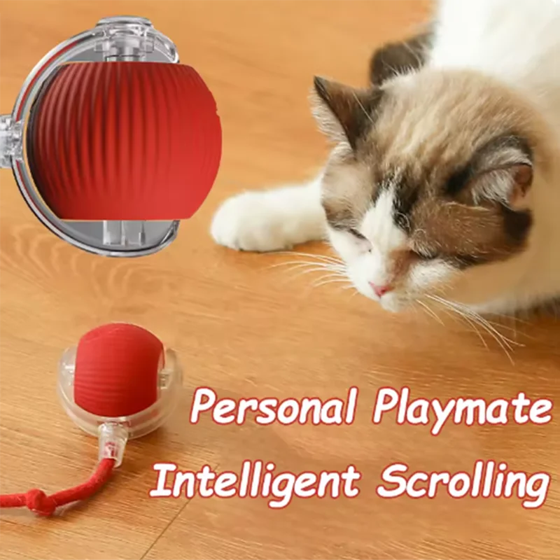 Interactive self-play cat toy by mypawbloom featuring an automatic teaser ball for engaging feline entertainment.