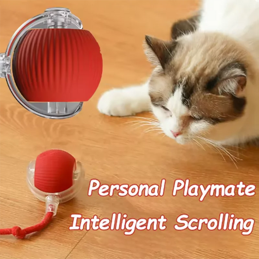 Interactive self-play cat toy by mypawbloom featuring an automatic teaser ball for engaging feline entertainment.