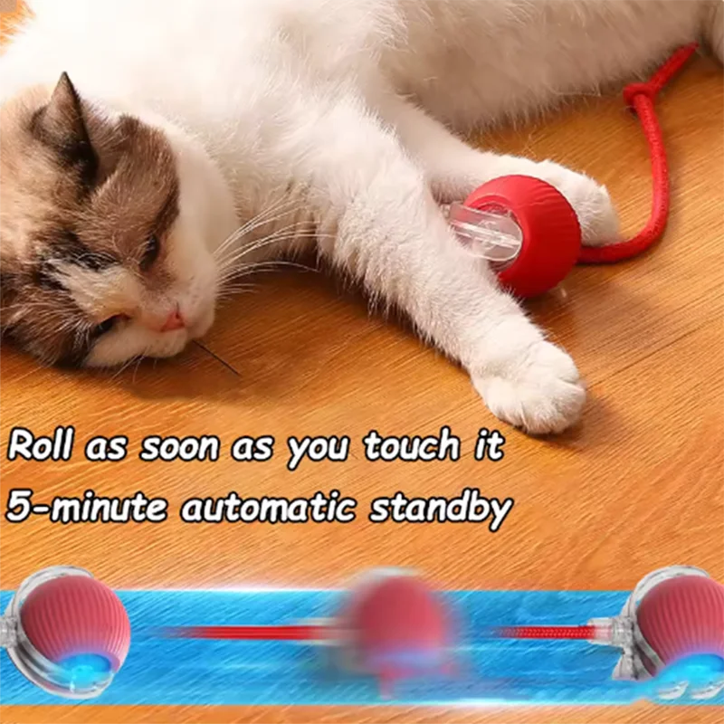 MyPawbloom interactive self-play cat toy with automatic teaser ball for engaging feline entertainment.
