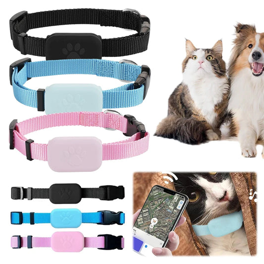 Pet GPS tracker with adjustable collar by mypawbloom, showing the device attached to a small dog for real-time location tracking.
