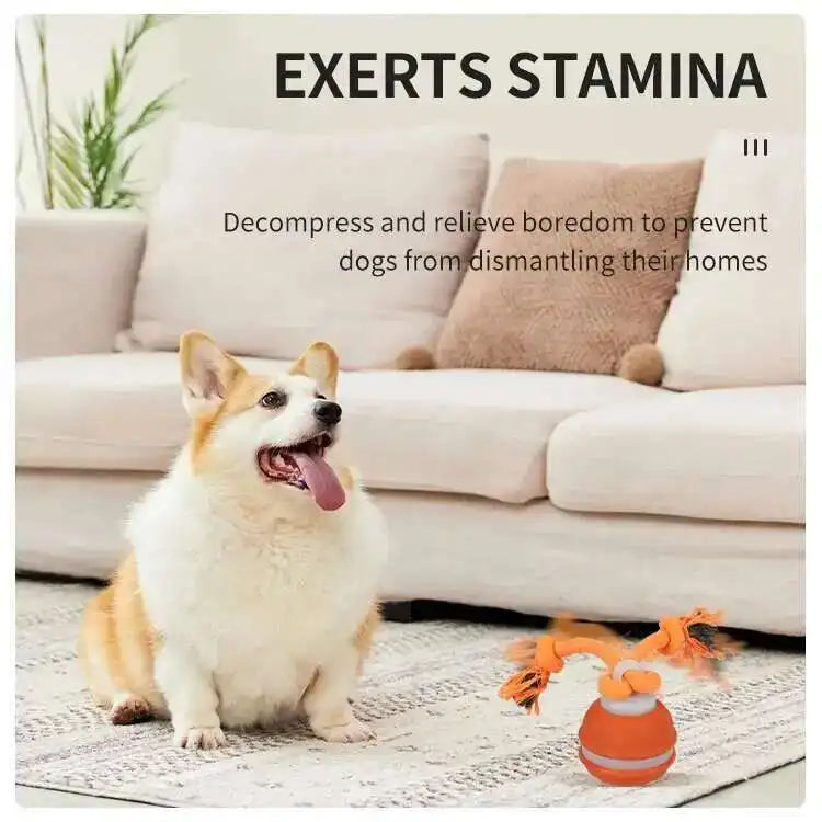 Interactive teasing ball for dogs by mypawbloom, featuring a durable, colorful design for engaging play and mental stimulation.