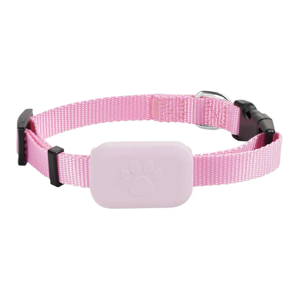 Mypawbloom Pet GPS Tracker with adjustable collar, showing device attached to a small dog’s neck for real-time location tracking.