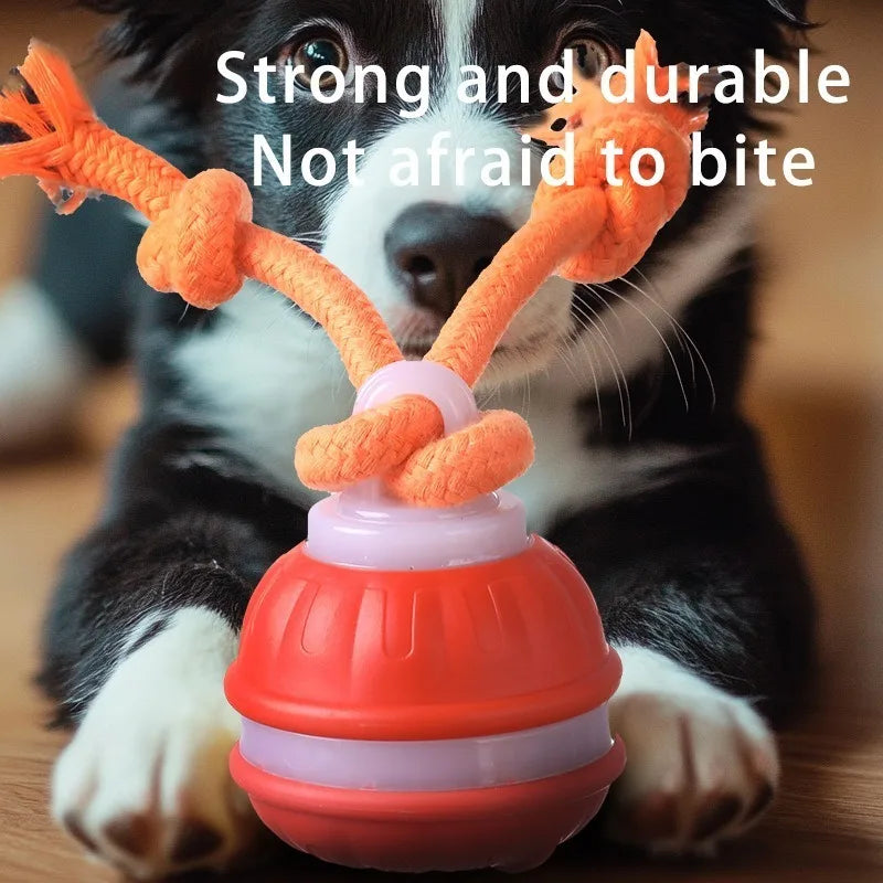 MyPawbloom smart dog toy, interactive teasing ball for dogs, designed to entertain and engage pets during playtime.