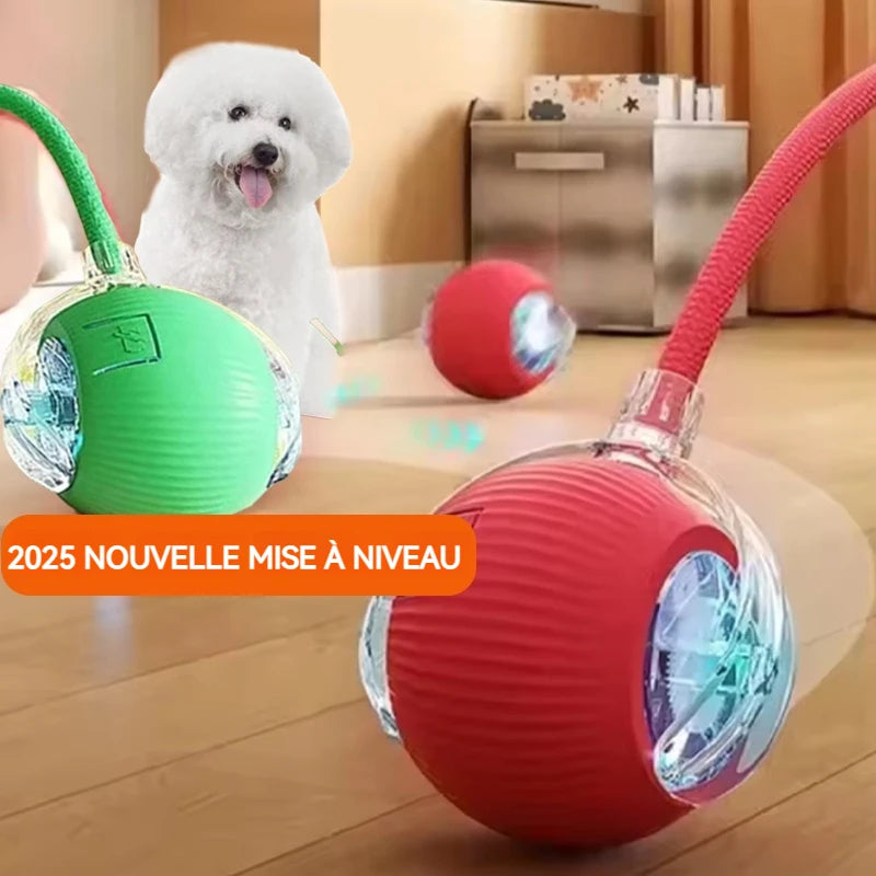 Dog Interactive Ball Toy,Automatic Rolling