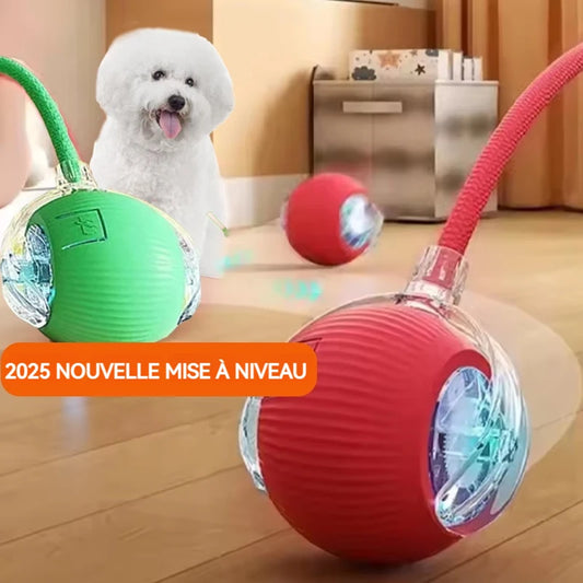 Dog Interactive Ball Toy,Automatic Rolling
