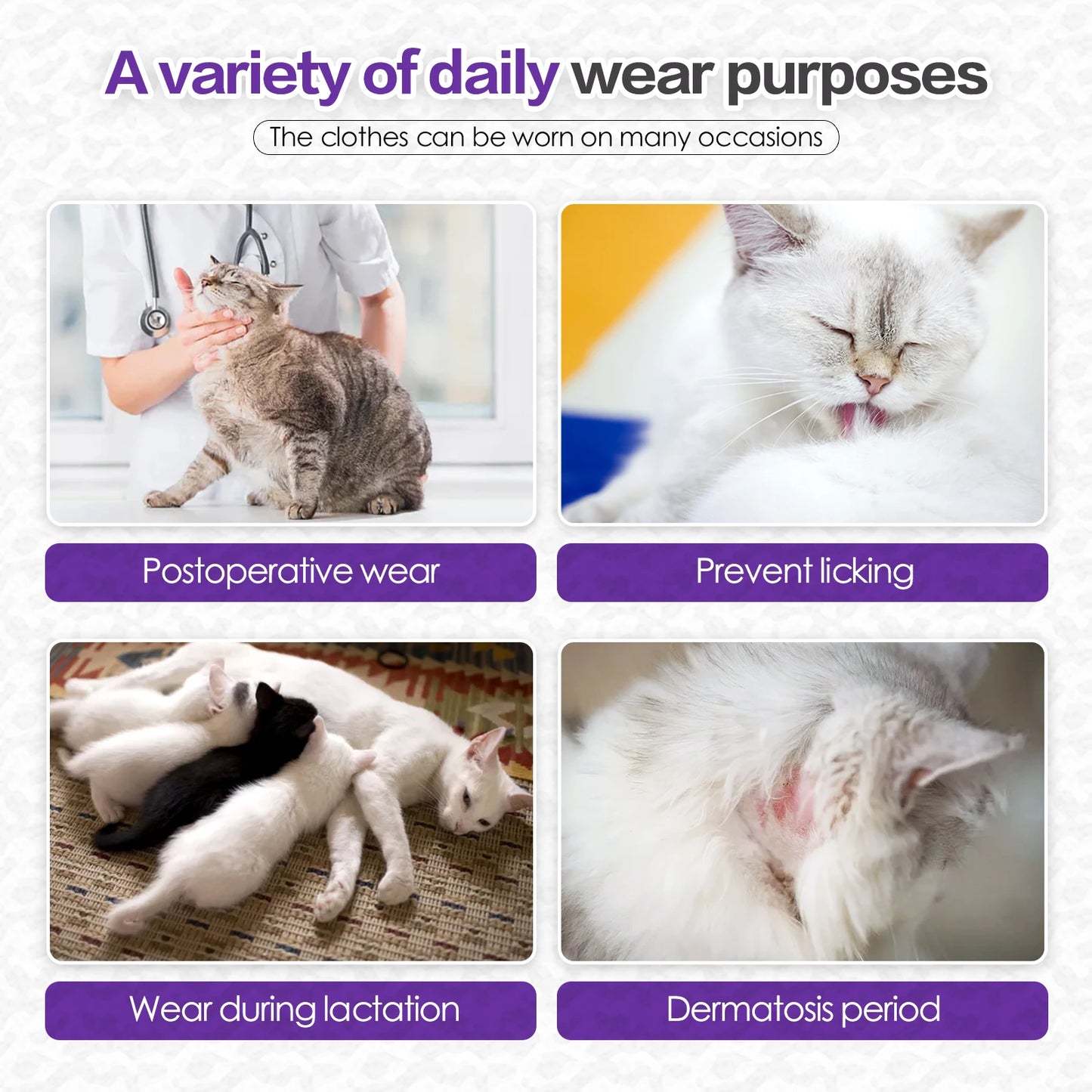 Cat Recovery Suit Professional,Abdominal Wounds Cone E-Collar Alternative