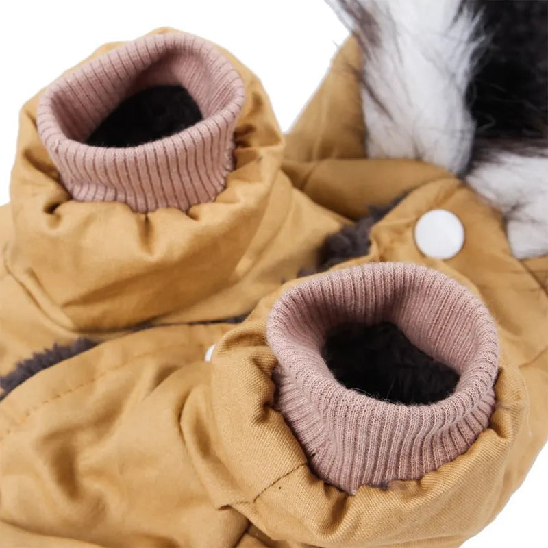Small dog wearing mypawbloom thick warm hoodie dog coat jacket, cozy and stylish for small and medium pets.