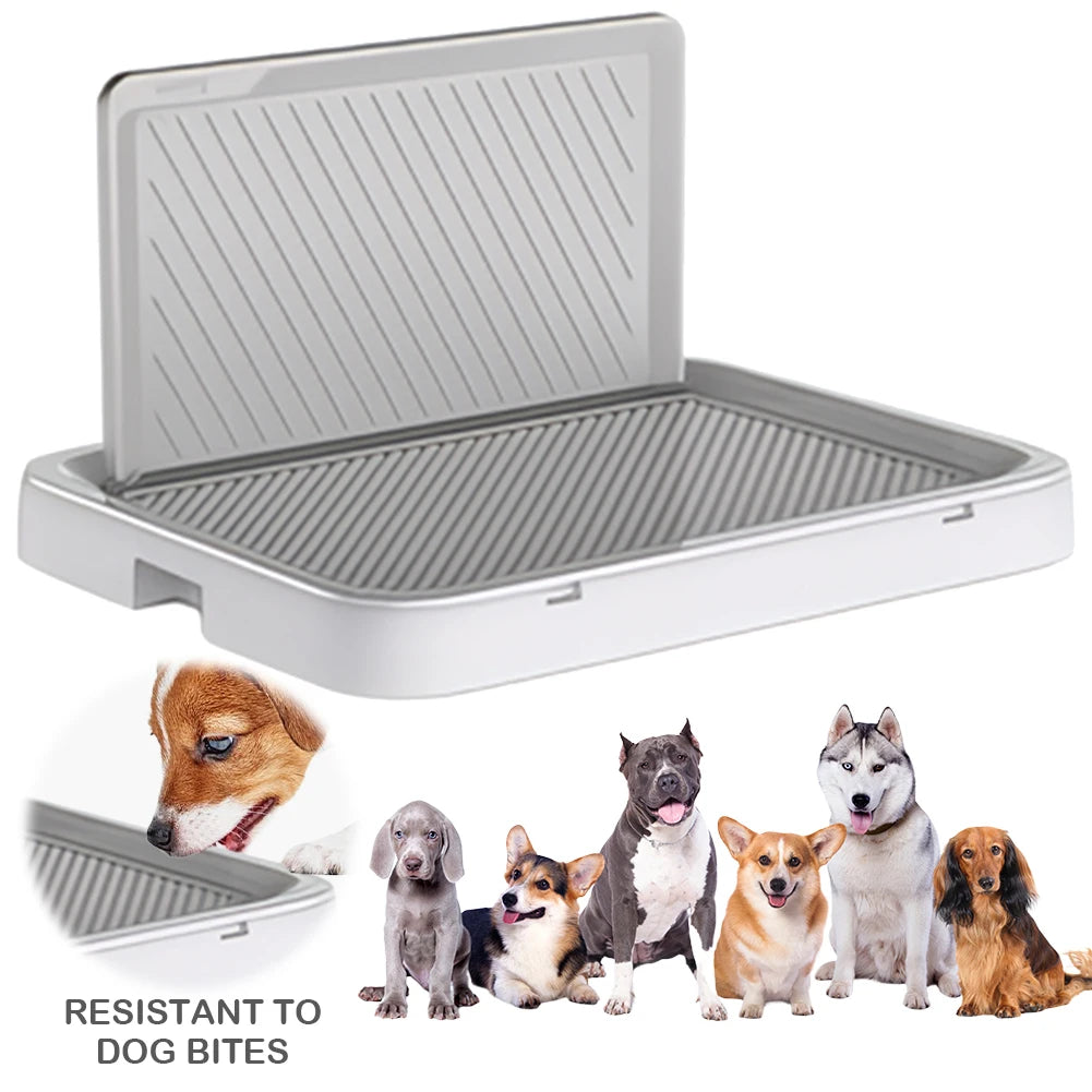 Dog Potty Tray with Pee Wall