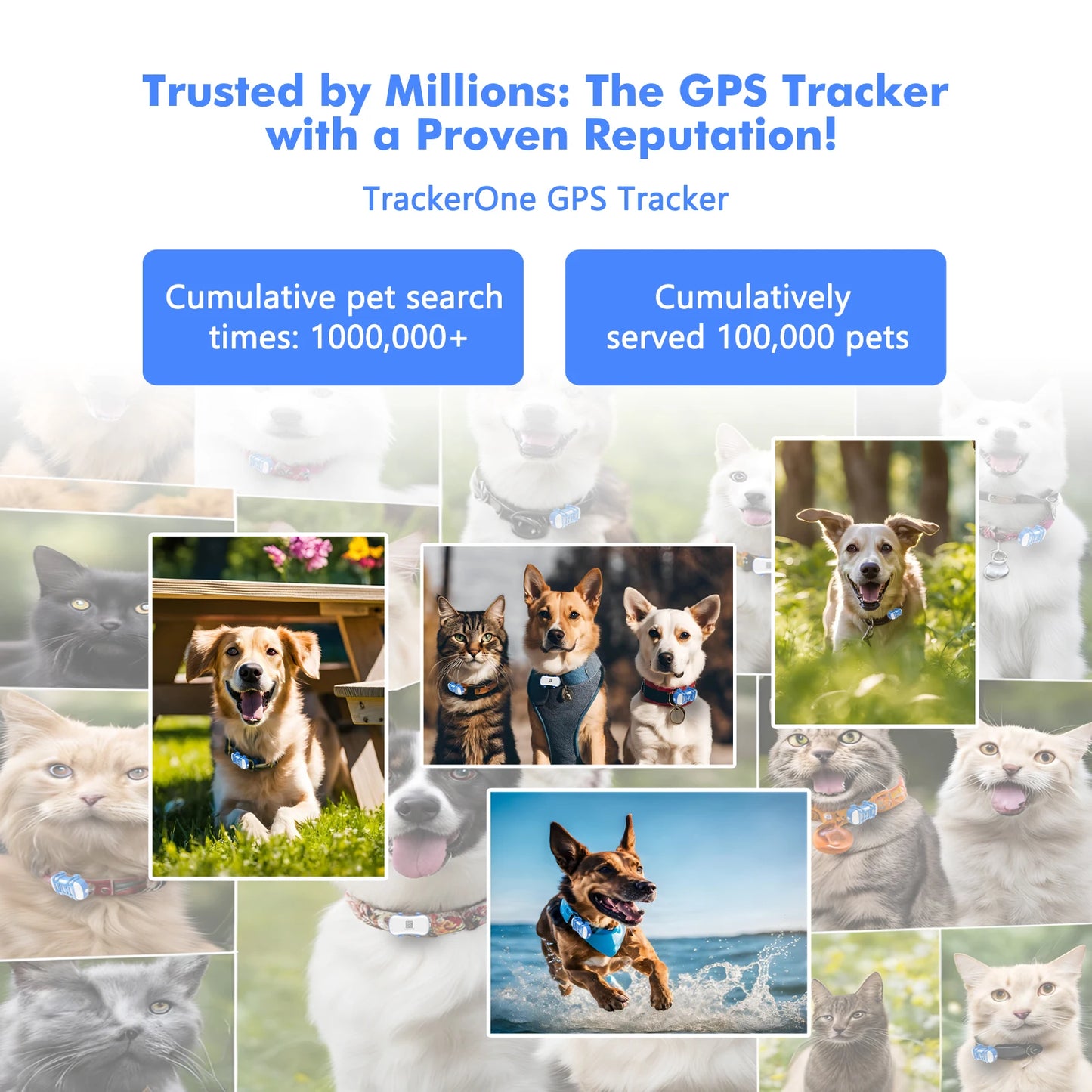 GPS pet tracker for dogs and cats by mypawbloom, featuring built-in IoT SIM and WiFi tracking for reliable pet location.
