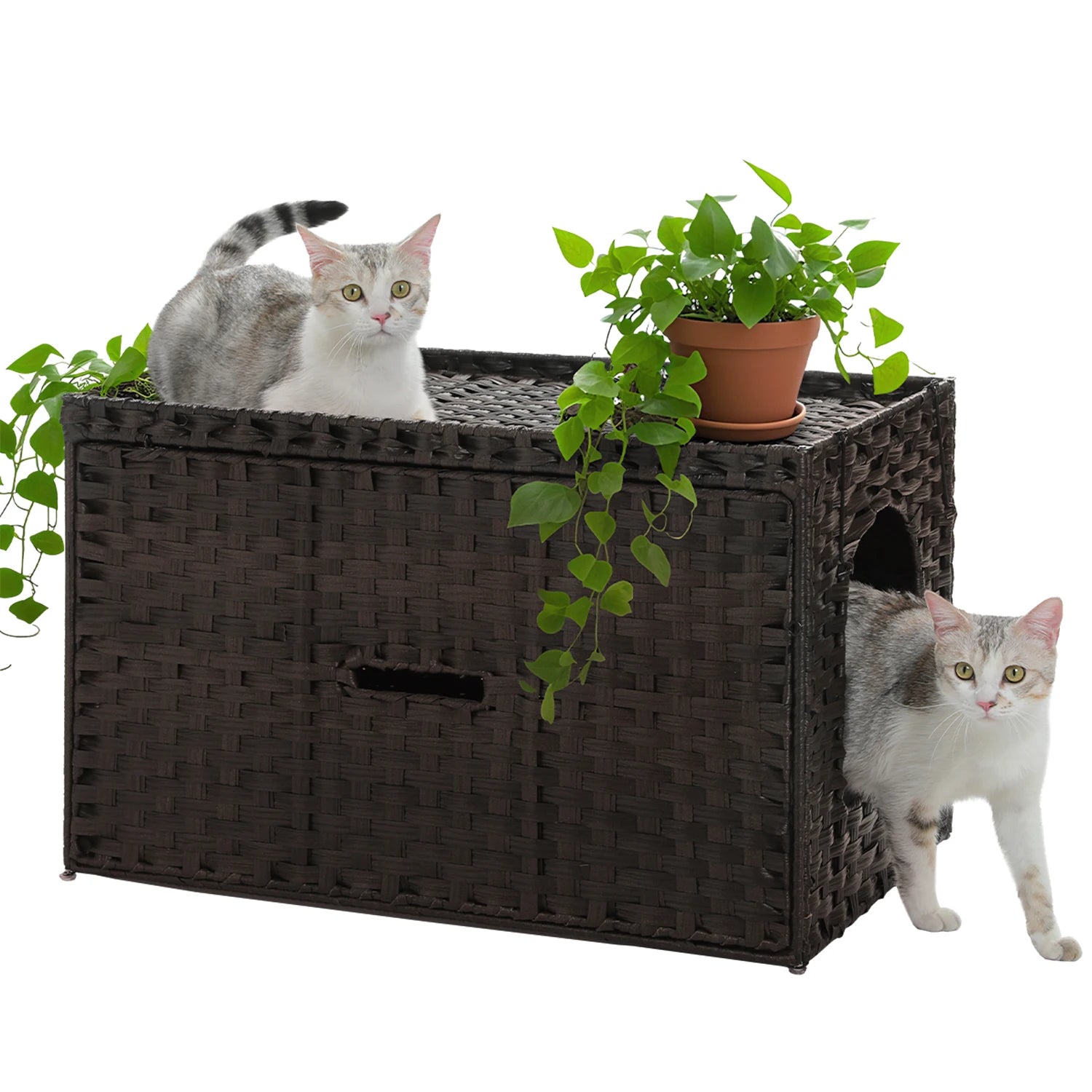 Rattan cat litter box enclosure with taller doorway by mypawbloom, featuring natural rattan design and spacious entrance for easy access.