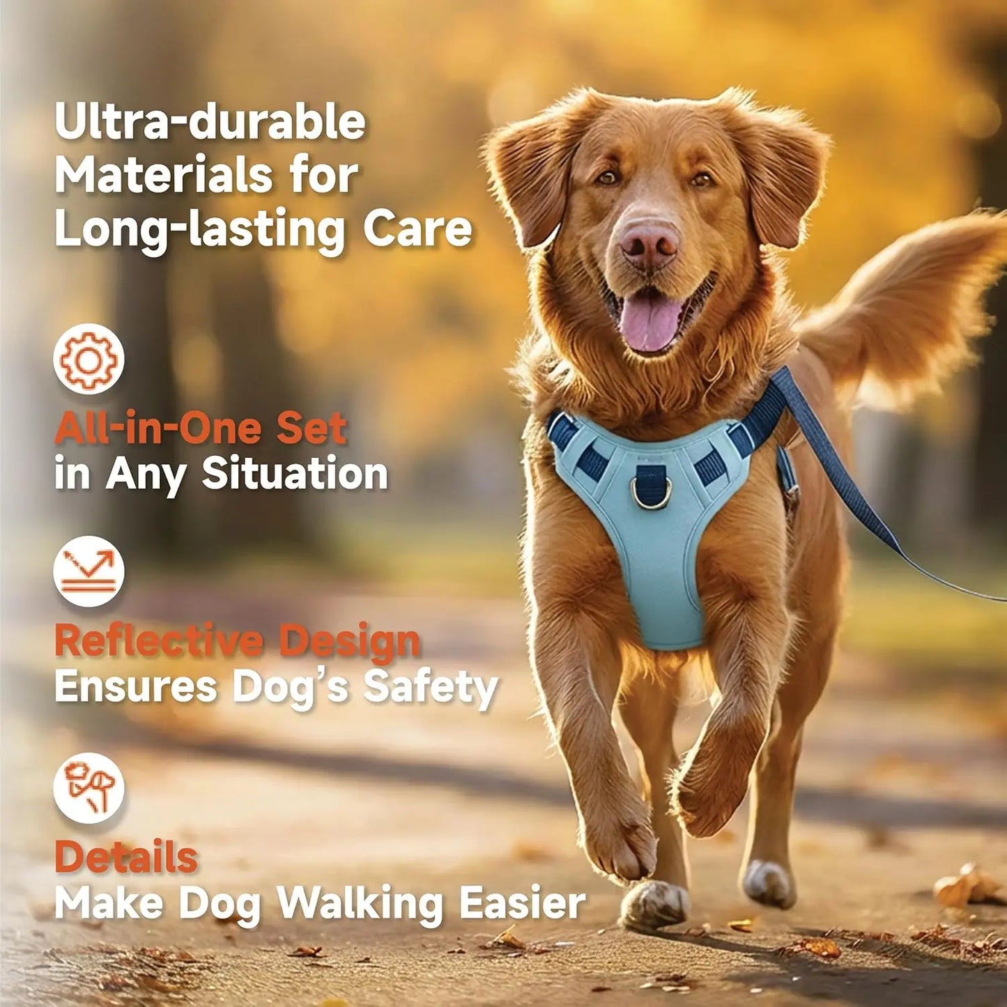 3-in-1 No-Pull Dog Harness Leash Collar Set