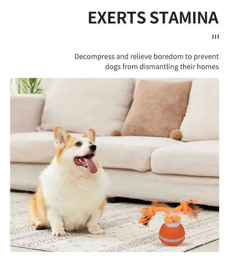 Interactive teasing ball for dogs by mypawbloom, featuring durable design and vibrant colors for engaging play.