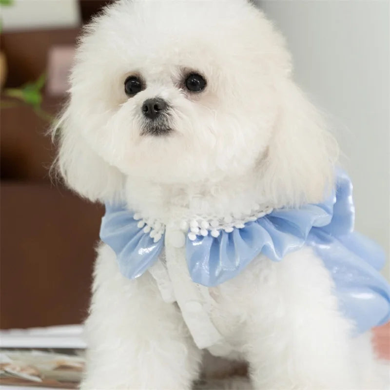 Cute small dog tutu dress with bowknot and lace details, perfect for pets from mypawbloom.
