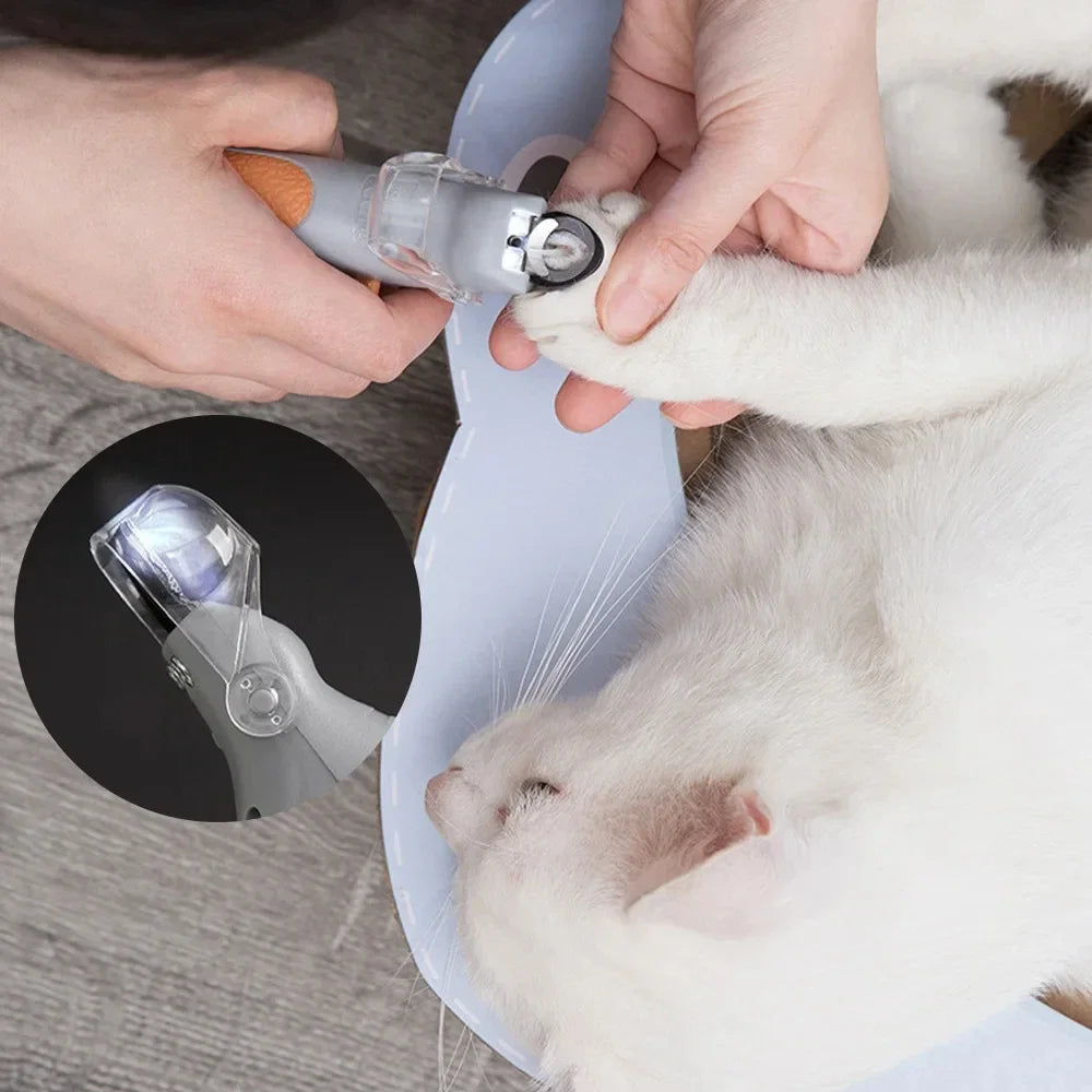 Mypawbloom professional pet nail clipper scissors with LED light, showing stainless steel blades and ergonomic handle for precise trimming