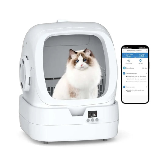 Automatic cat litter box by mypawbloom with self-cleaning, app control, and weight monitoring, shown in a modern home setting.