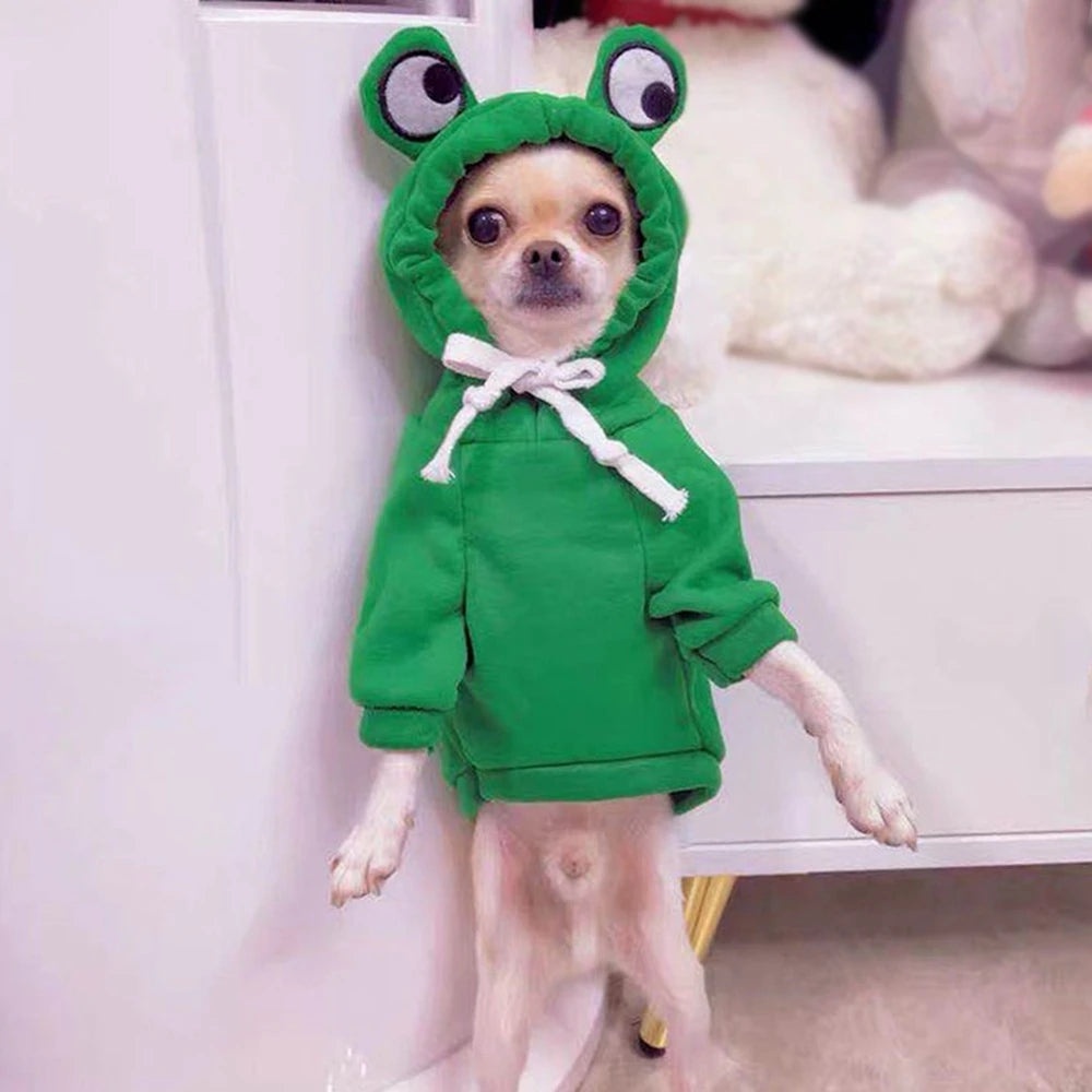 Cozy Fruit Print Pet Hoodie – Soft Cotton Winter Dog Clothes for Cats & Small Dogs