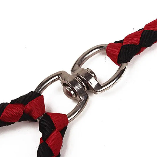 MyPawbloom 1.4m pet double leash with 2-way coupler showing durable nylon straps and metal clips for walking two dogs simultaneously.