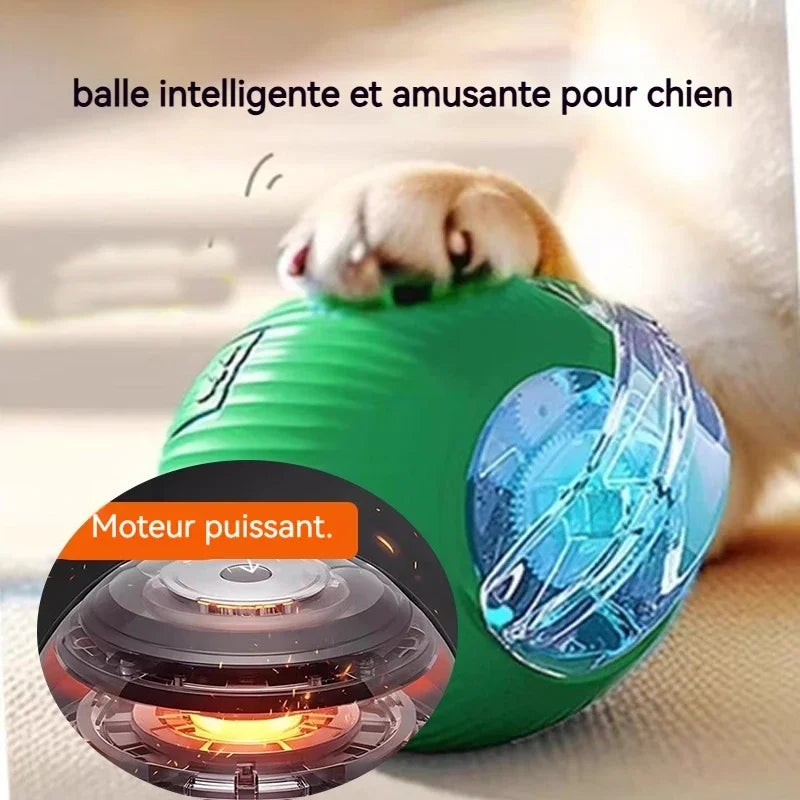 Dog Interactive Ball Toy,Automatic Rolling