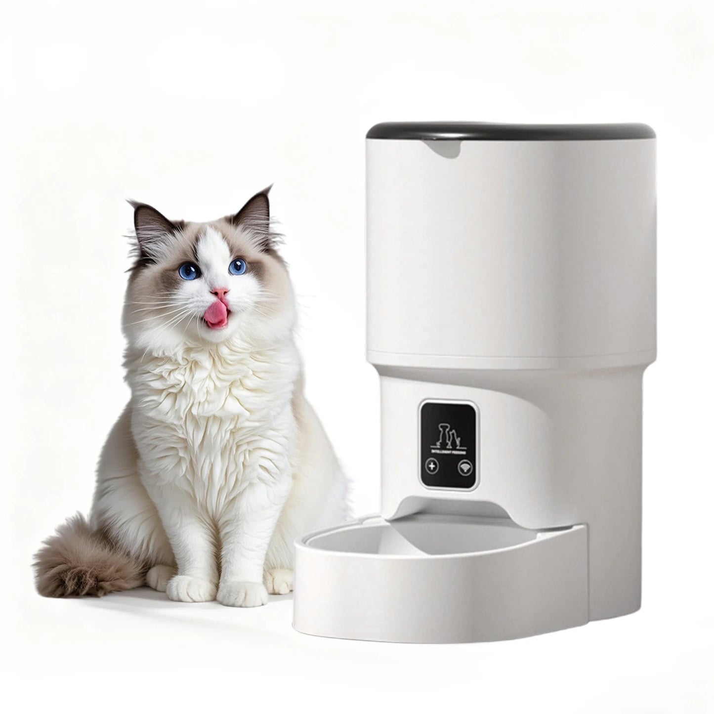 Mypawbloom programmable 4L automatic pet feeder for small dogs and cats, showing digital control panel and food dispensing tray.