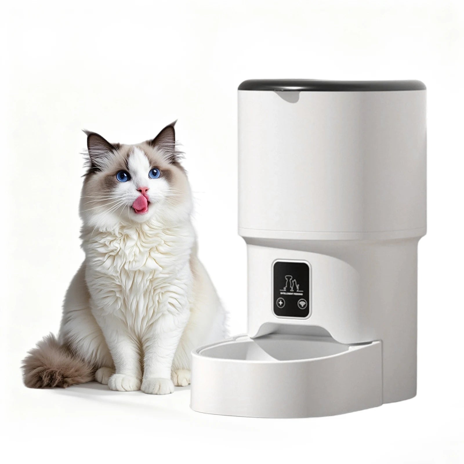 Mypawbloom programmable 4L automatic pet feeder for small dogs and cats, showing digital control panel and food dispensing tray.