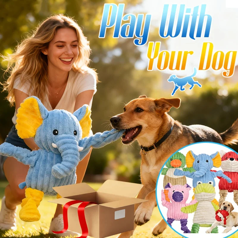 Interactive Cartoon Pet Plush Toy Bundle – 5-Piece Durable Squeaker Toy Set