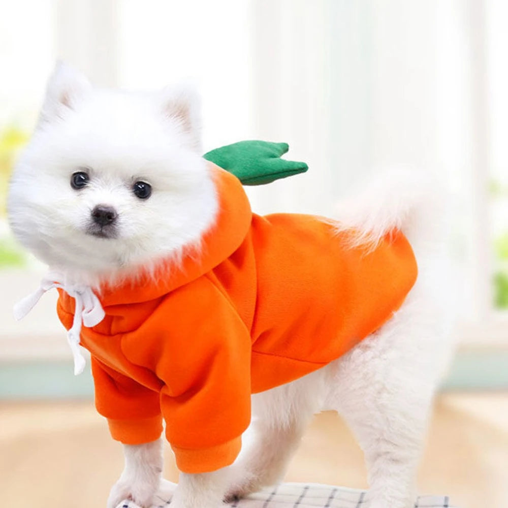 Cozy Fruit Print Pet Hoodie – Soft Cotton Winter Dog Clothes for Cats & Small Dogs