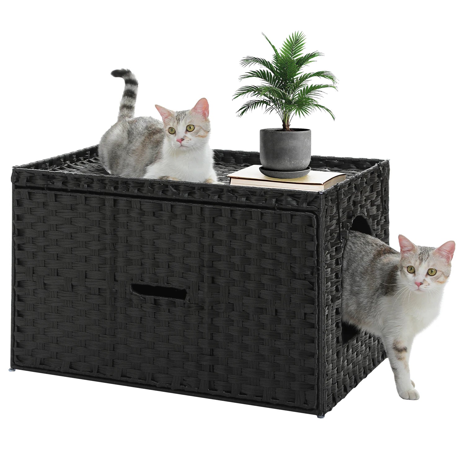 Rattan cat litter box enclosure with taller doorway by mypawbloom, featuring natural woven rattan design and sturdy construction.