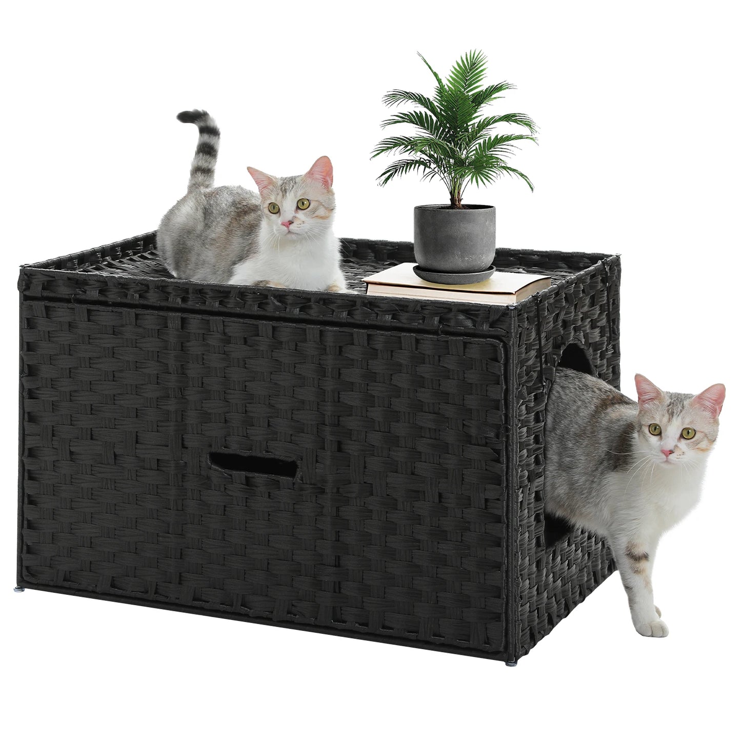Rattan cat litter box enclosure by mypawbloom with a tall doorway, featuring a natural woven rattan design and sturdy construction.
