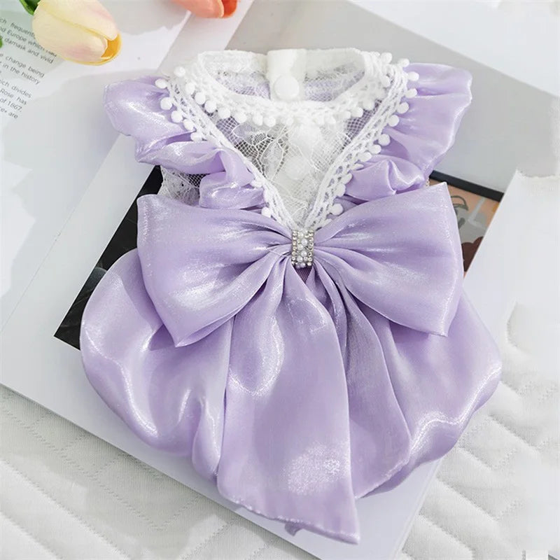 Cute small dog wearing a mypawbloom tutu dress with lace and bowknot detail, showcasing adorable pet fashion.