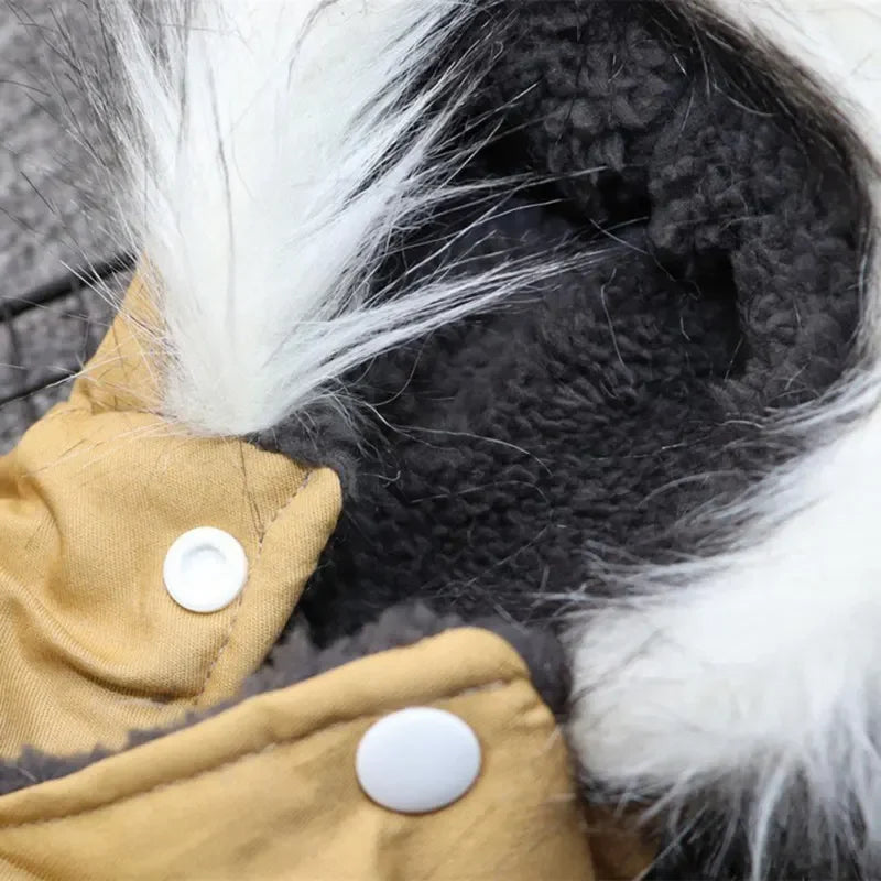 Mypawbloom small dog coat jacket with thick warm hoodie, ideal for medium dogs to stay cozy in cold weather.