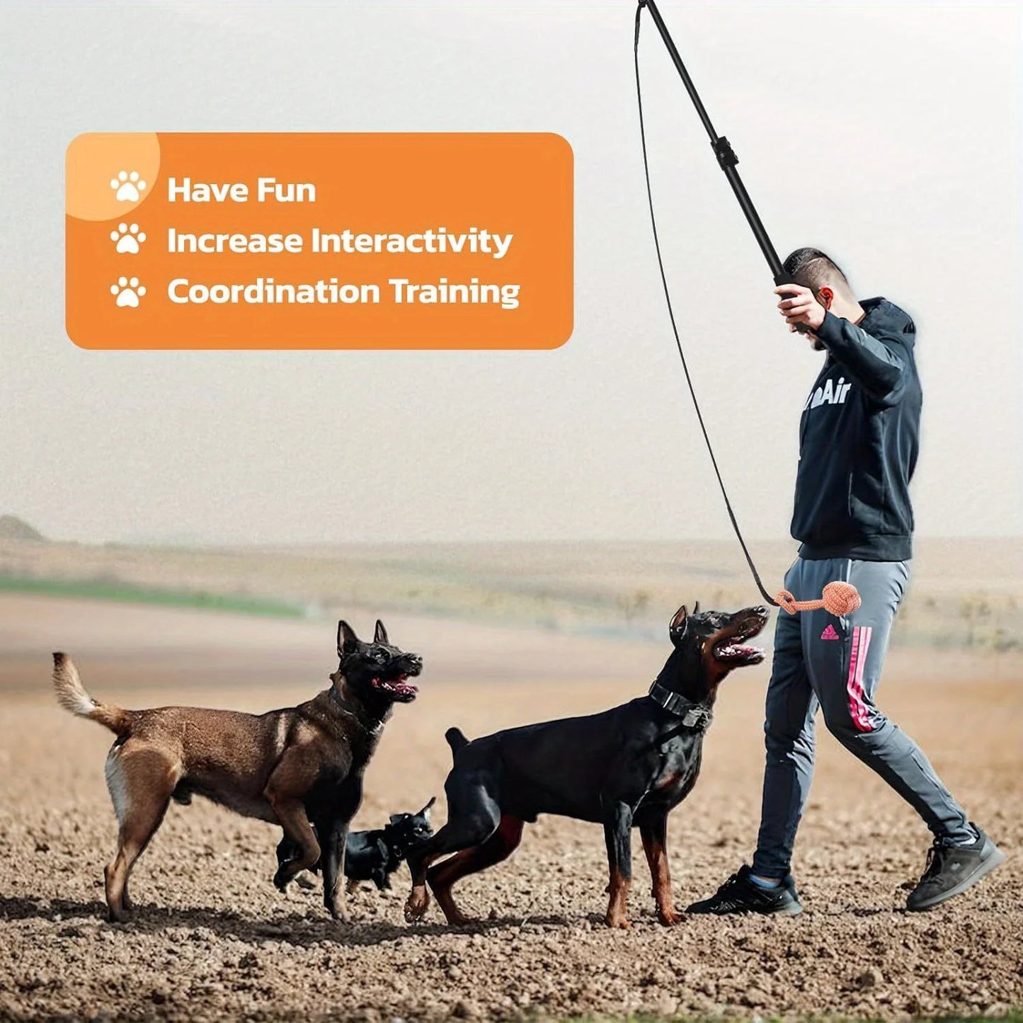 Extendable Pet Chase & Tug Wand – Outdoor Agility Training Exercise Pole