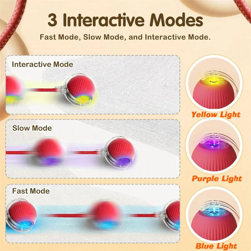 Dog Interactive Ball Toy,Automatic Rolling