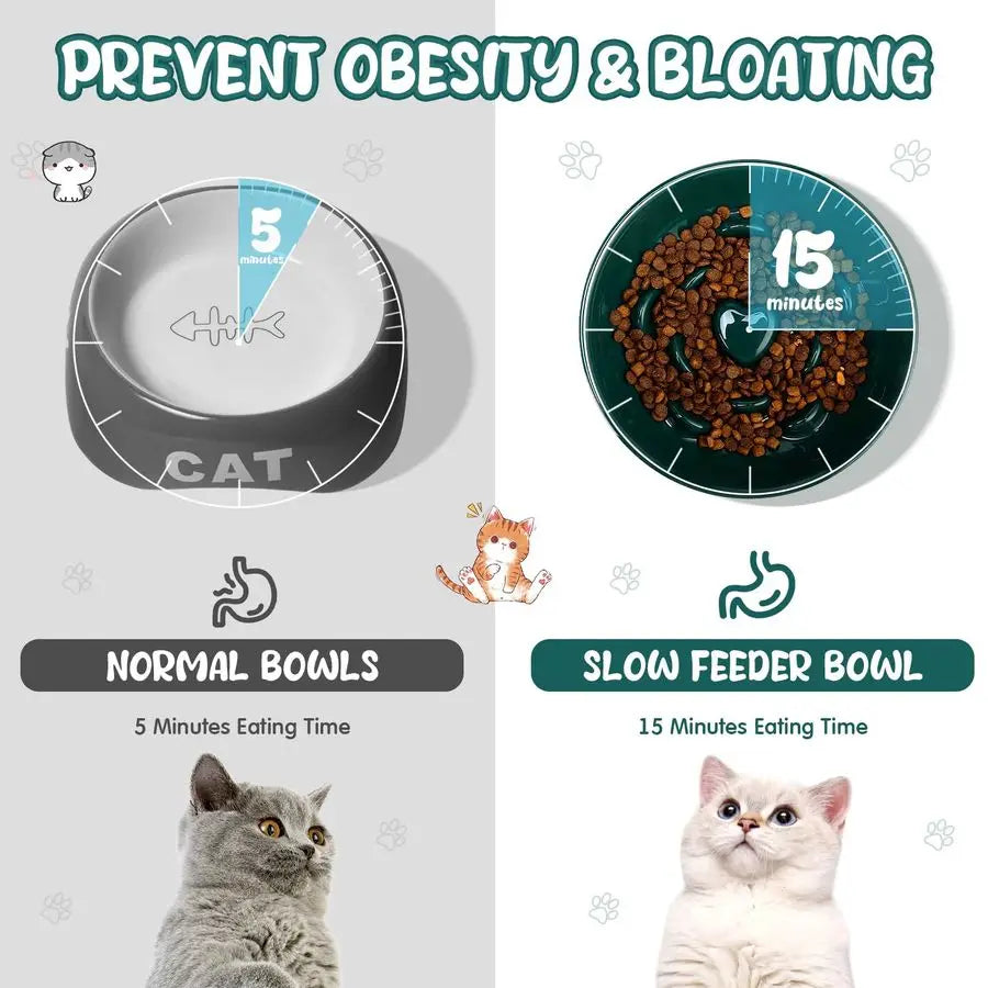 Two ceramic raised cat slow feeder bowls by mypawbloom with elevated design and textured surface for slow eating.