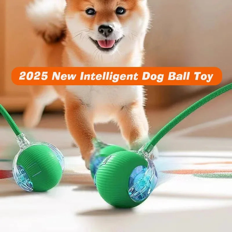 Dog Interactive Ball Toy,Automatic Rolling
